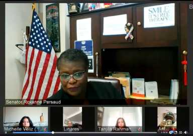 persaud-virtual-education-meeting-nk-2020-05-22-nk-cl01