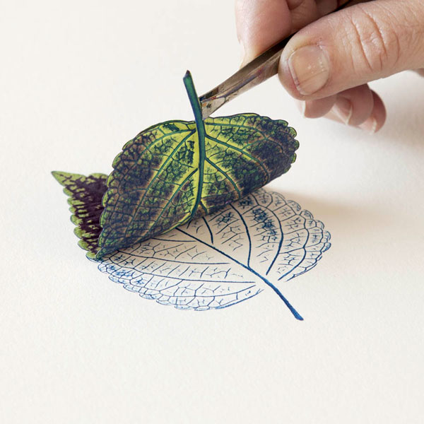 SQUARE-CuriousCompendium4