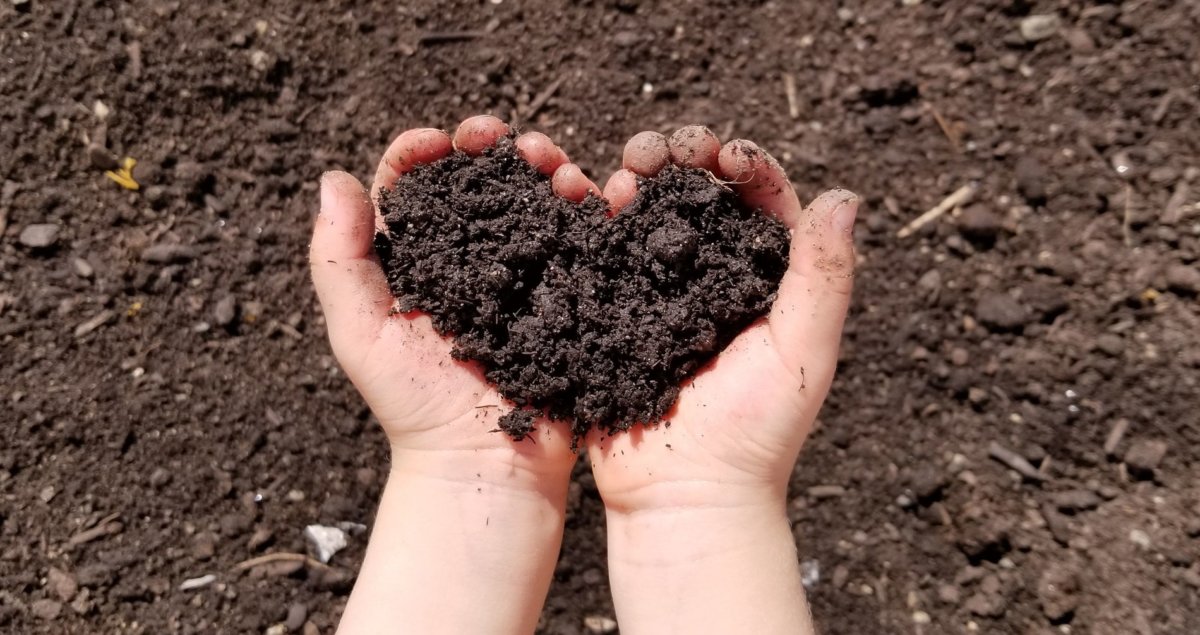 compost_love.jpg.1900x0_q85