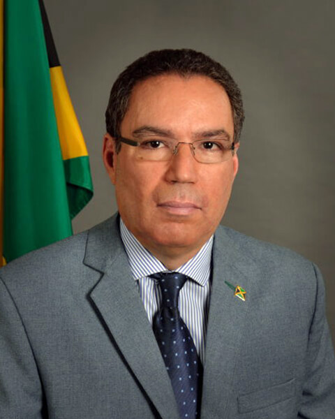 Jamaica’s Minister of Science, Energy and Technology, Daryl Vaz.  opm.gov.jm