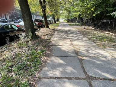 Prospect-Park1