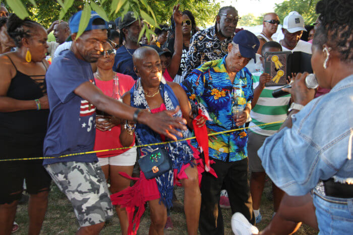 Party crowd at the Vincy Day Picnic in Canarsie Park, Brooklyn.