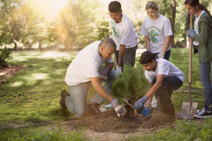 Volunteers plant a tree to help reduce global warming and protect the environment.