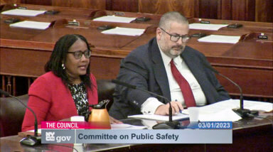 Screen grab of Interim Chairwoman and Executive Director of the Civilian Complaint Review Board (CCRB), Arva Rice (left) and Jonathan Darche, giving their testimony at the hearing. 