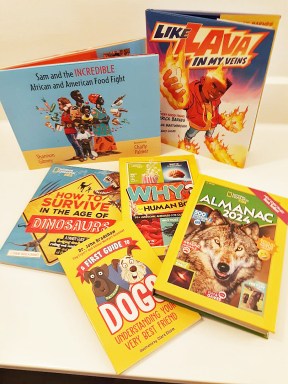Books for a kid's summer.