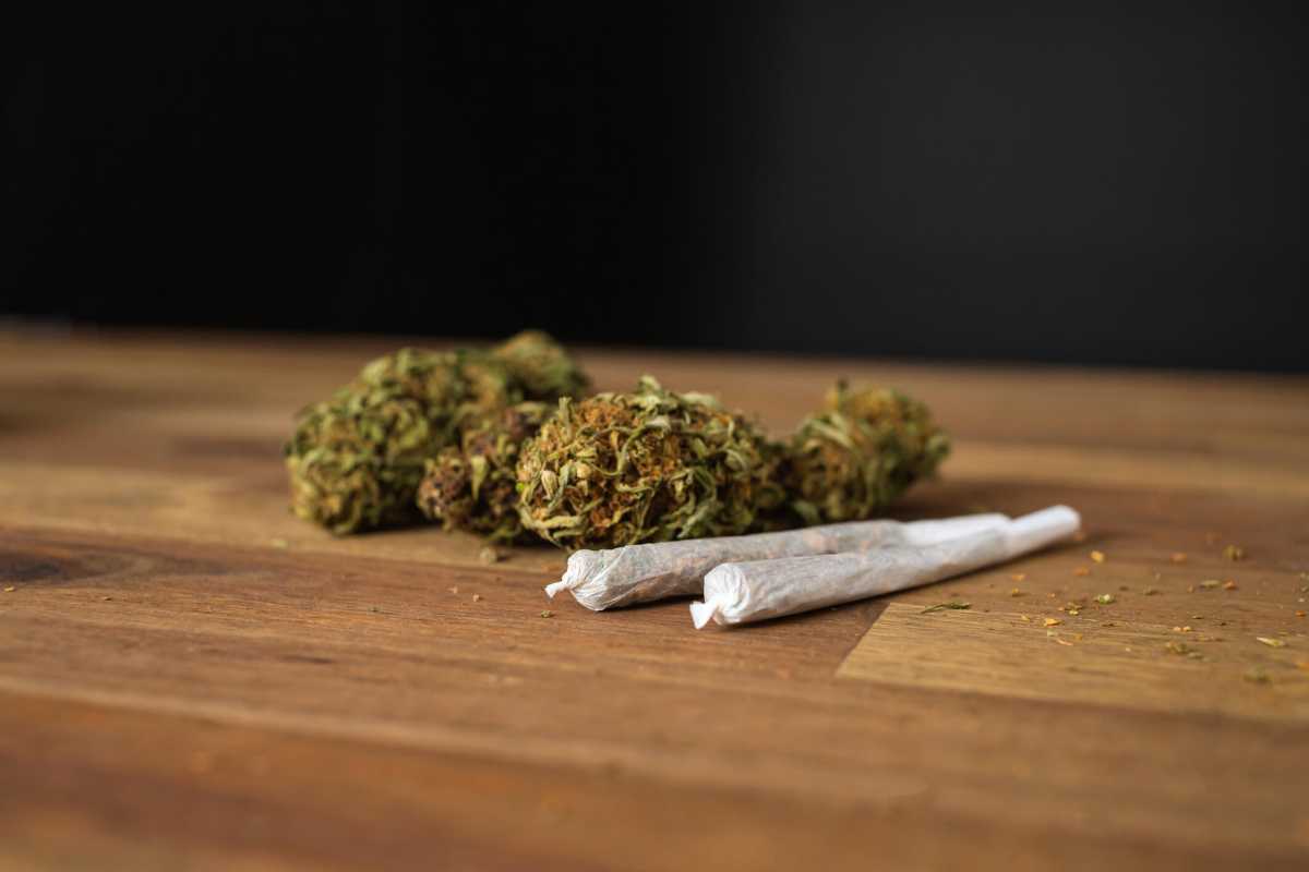 Male hands rolling marijuana joint