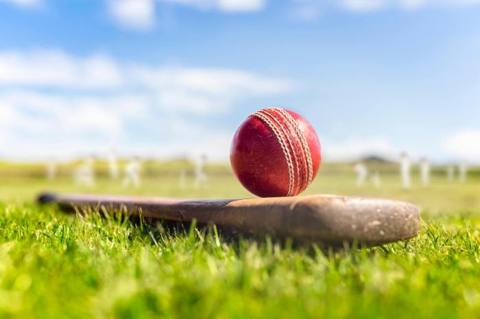 Cricket ball on top of cricket bat on green grass of cricket ground background