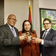 Consul General of Guyana to New York Ambassador Michael E. Brotherson, left, Permanent Representative of Guyana to the United Nations, Carolyn Rodrigues-Birkett, and Advisor - Investments & Diappora Affairs, Fazal Yussuff, make a toast during a 54th Republic Day Observance in Manhattan, on Feb. 22.