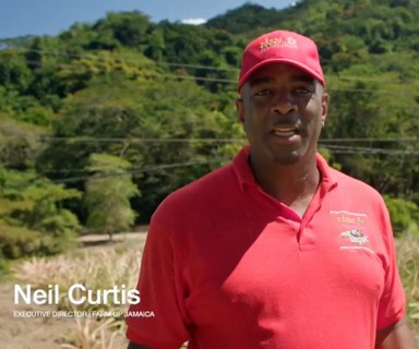 Neil Curtis, founder of Farm Up Jamaica.