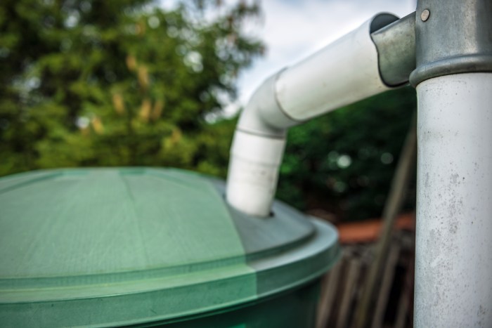 A green rainwater recuperator.