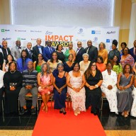 The 2025 Caribbean Impact honorees at the gala held at Terrace on the Park, Queens.