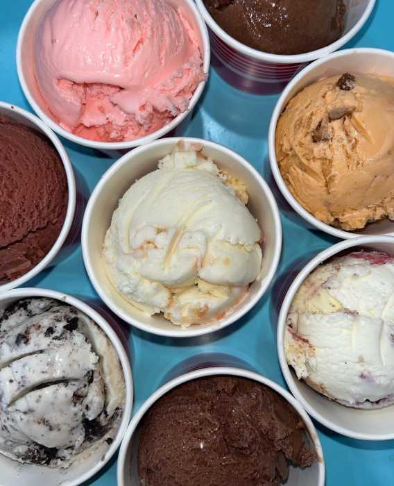 Lost Borough Ice Cream serves 16 standard flavors, plus seasonal and limited-edition specials.