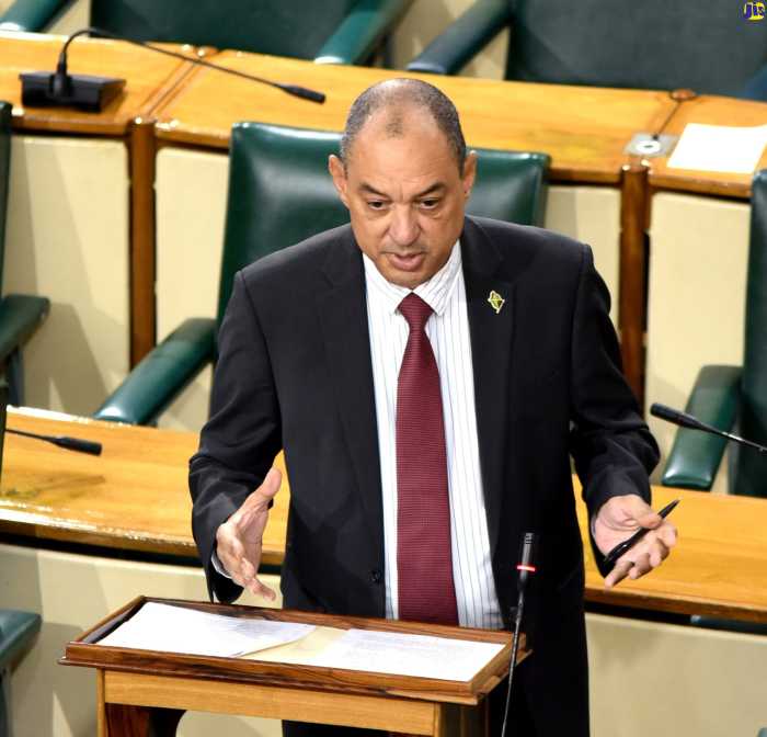 The late business icon and former senator, Don Wehby, speaking in the Jamaican Parliament.