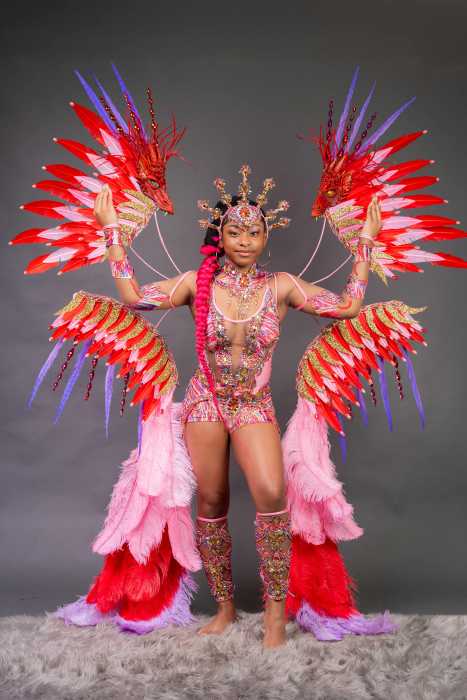 Masquerader portrays "House of Dragons" costume.