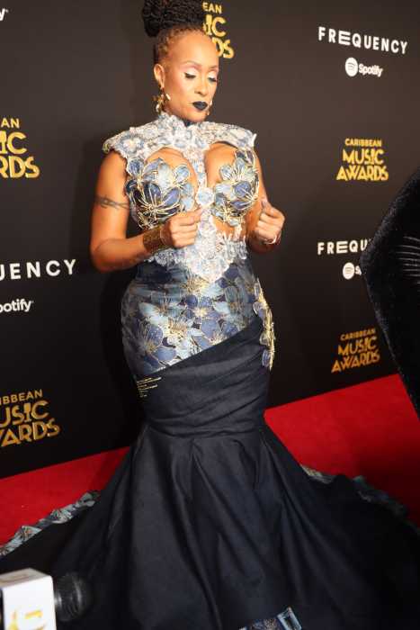 Alison Hinds on the Red Carpet at the 2024 Caribbean Music Awards at the Kings Theatre in Flatbush, Brooklyn.