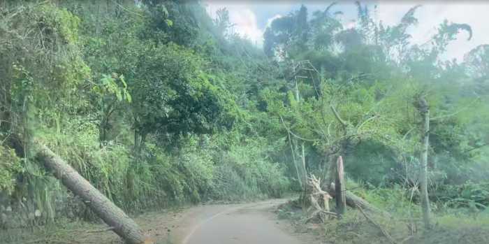 The weekend after the Hurricane Melissa in Jamaica.