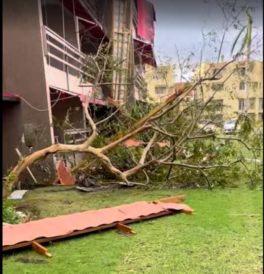 The roof of our structure flew off.